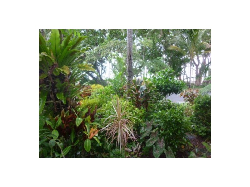 2/75 Arlington Esplanade, Clifton Beach QLD 4879