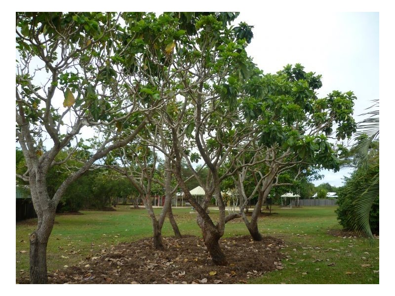 U2/54 COTTESLOE DRIVE, Kewarra Beach QLD 4879