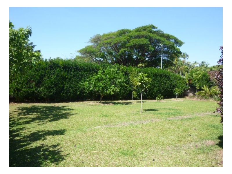 7 SURVEY STREET, Smithfield QLD 4878