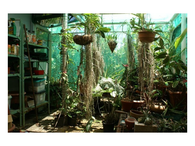 8 ALMOND STREET, Holloways Beach QLD 4878