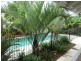 62 Terebra Close, Palm Cove QLD 4879