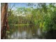 14 Brolga Street, Kewarra Beach QLD 4879