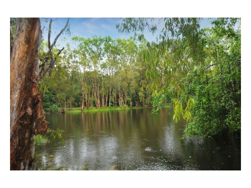 14 Brolga Street, Kewarra Beach QLD 4879