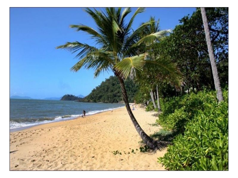6 Cyprea Close, Trinity Beach QLD 4879