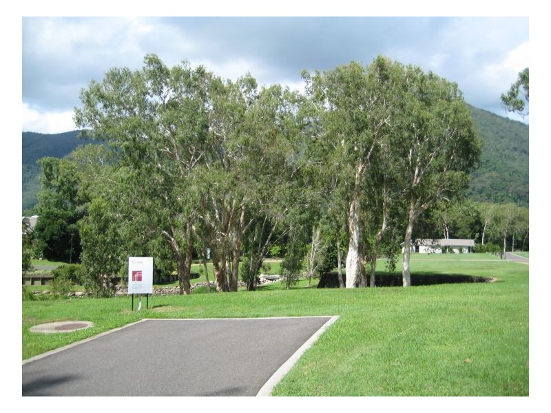 37 Freshwater Avenue, Palm Cove QLD 4879