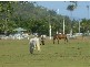 8 PAMBULA CLOSE,, Kewarra Beach QLD 4879