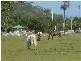 8 PAMBULA CLOSE,, Kewarra Beach QLD 4879