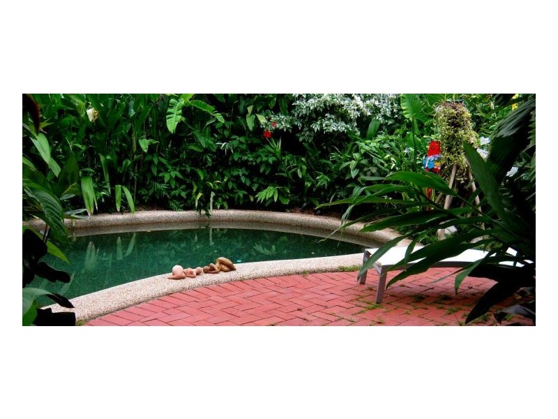 44 Terebra Street, Palm Cove QLD 4879