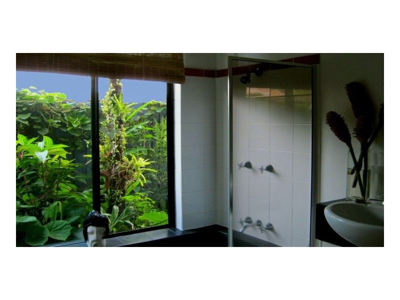 44 Terebra Street, Palm Cove QLD 4879