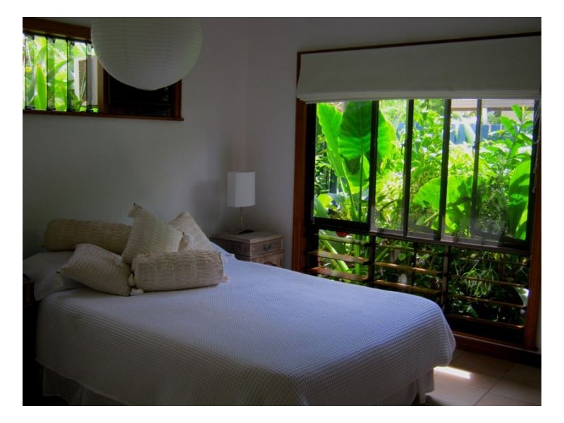 44 Terebra Street, Palm Cove QLD 4879