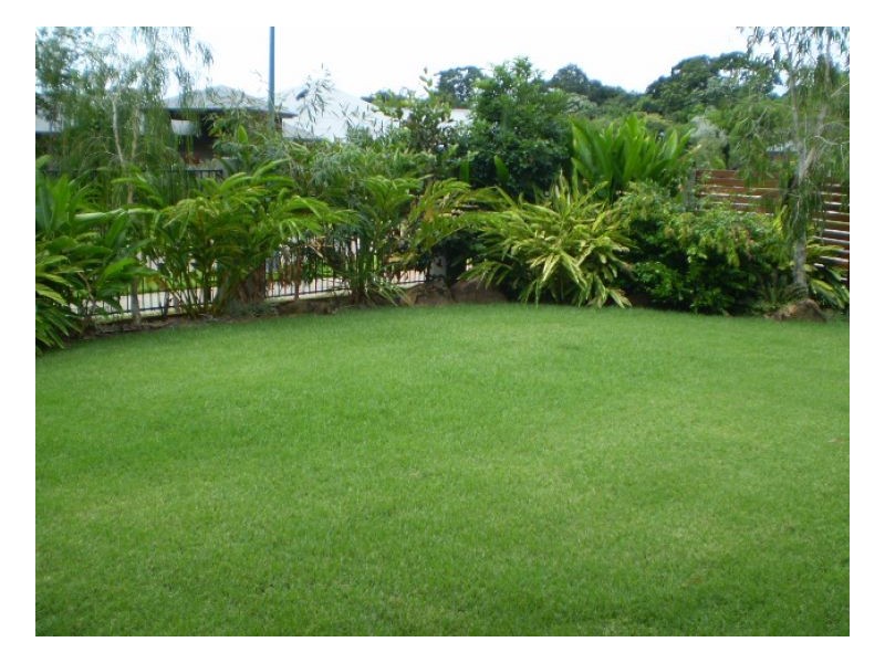 41 Muller St, Palm Cove QLD 4879