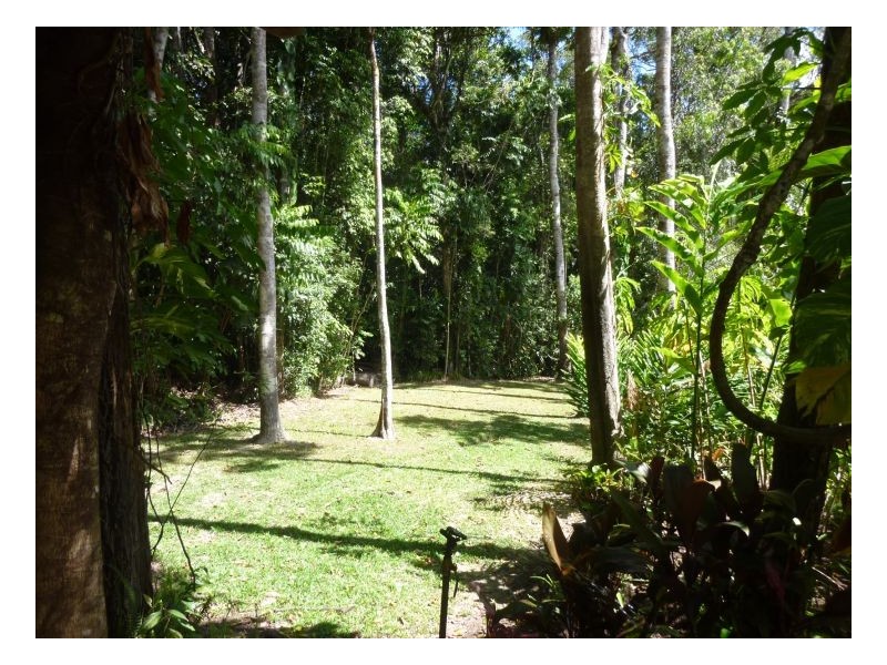 426 Oak Forest Rd, Kuranda QLD 4881