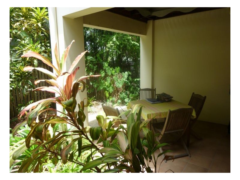 3/25 Amphora St, Palm Cove QLD 4879