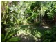 39 Saw Street, Machans Beach QLD 4878