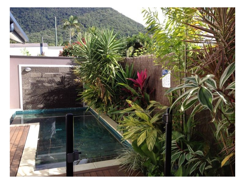 56a Veivers Road, Palm Cove QLD 4879