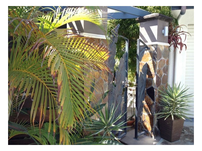 56a Veivers Road, Palm Cove QLD 4879