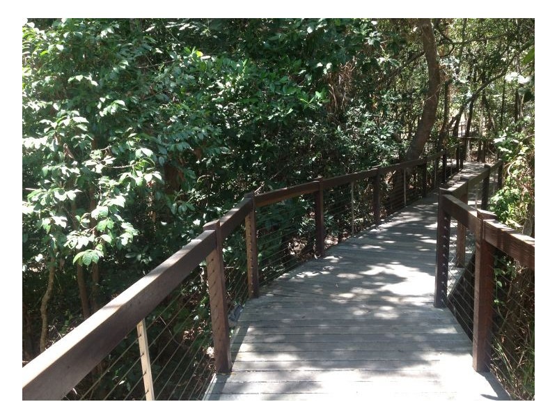 63 Coral Coast Drive, Palm Cove QLD 4879