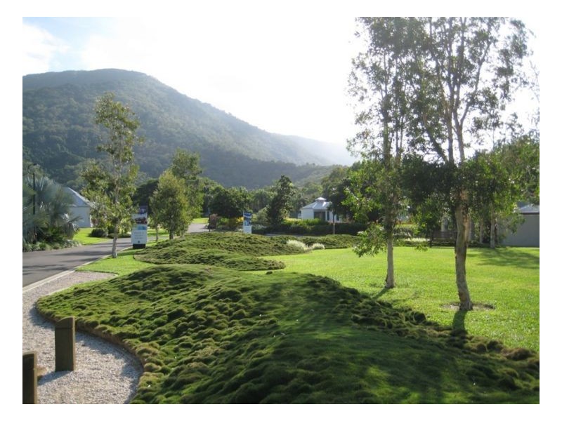 63 Coral Coast Drive, Palm Cove QLD 4879