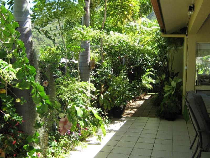 10 SAGO CLOSE, Palm Cove QLD 4879