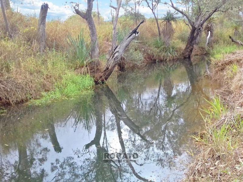Mareeba QLD 4880