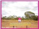 123 Springmount Park, Mareeba QLD 4880