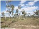 123 Springmount Park, Mareeba QLD 4880