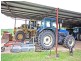 Mareeba QLD 4880