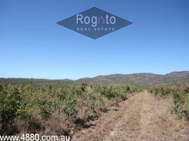 Mareeba QLD 4880