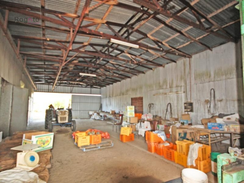 Mareeba QLD 4880