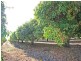 Mareeba QLD 4880