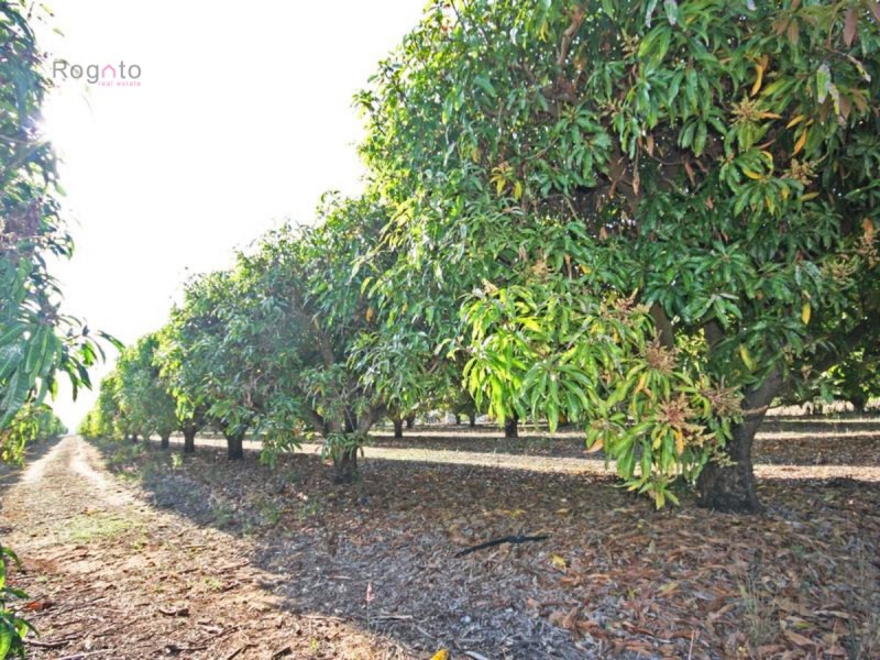 Mareeba QLD 4880