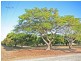 Mareeba QLD 4880
