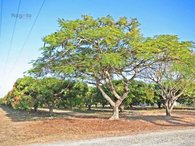 Mareeba QLD 4880