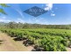 Koah QLD 4881