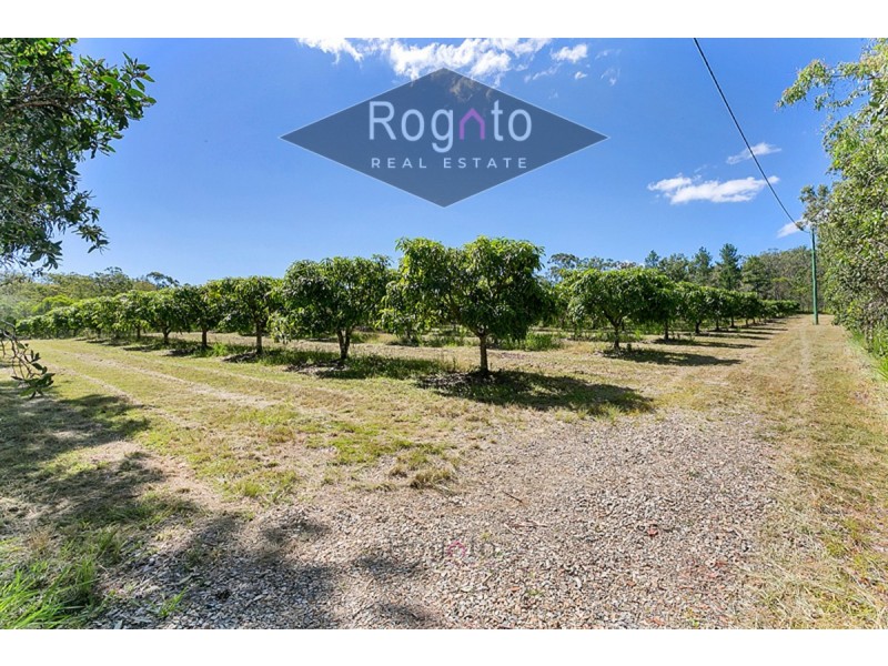 Koah QLD 4881