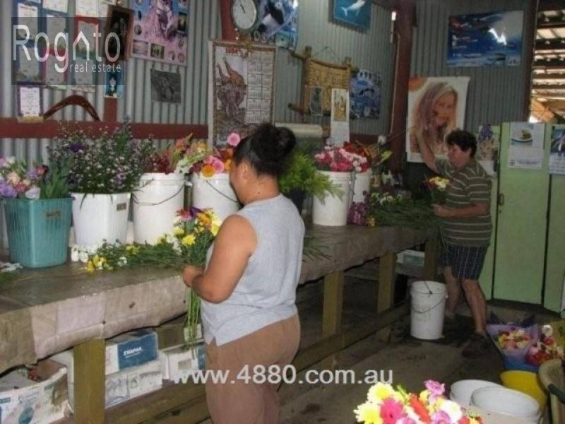 Mareeba QLD 4880