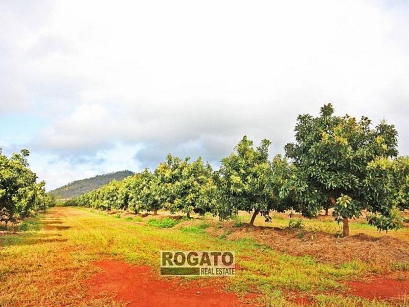 Mareeba QLD 4880