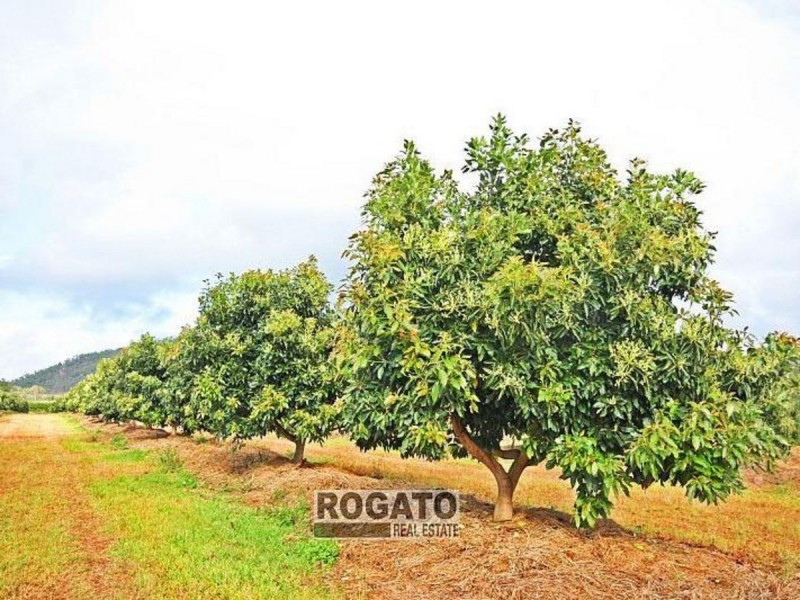 Mareeba QLD 4880