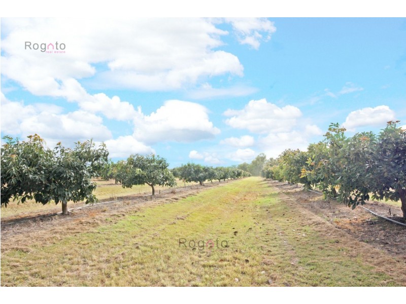 Mareeba QLD 4880