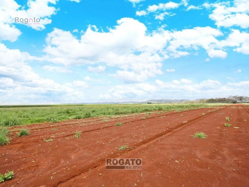 Tolga QLD 4882