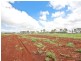 Tolga QLD 4882