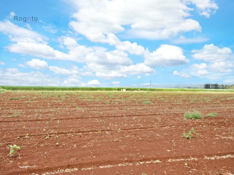 Tolga QLD 4882