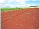 Tolga QLD 4882
