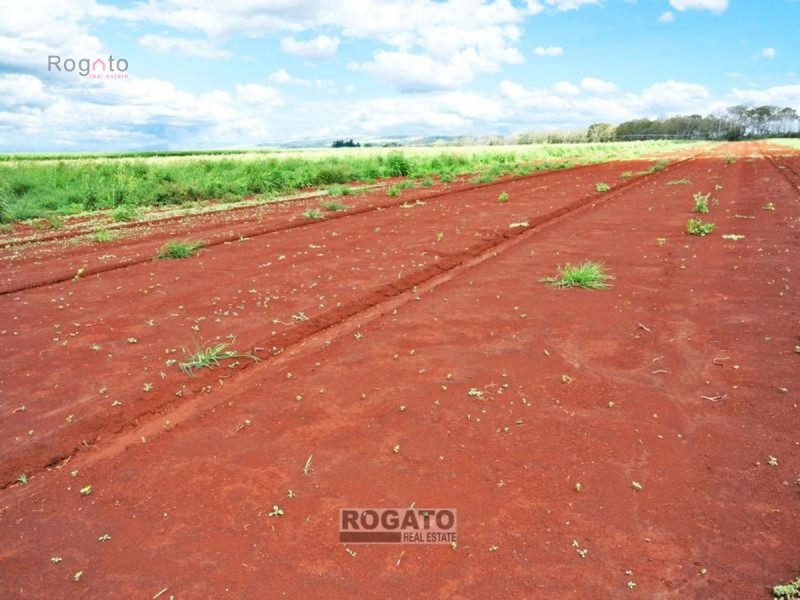 Tolga QLD 4882