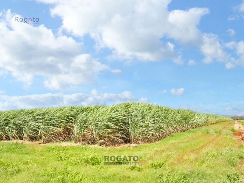 Tolga QLD 4882