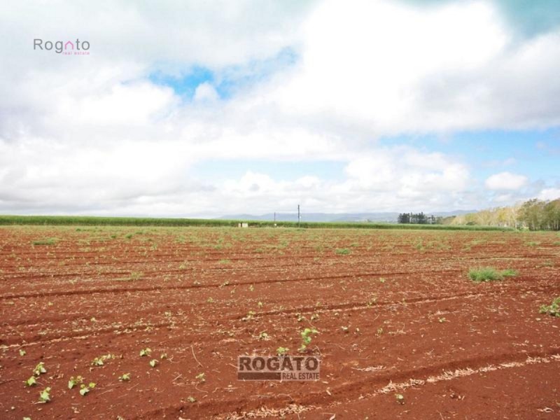 Tolga QLD 4882