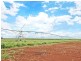 Tolga QLD 4882