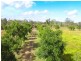 603 Hodzic Road, Mareeba QLD 4880