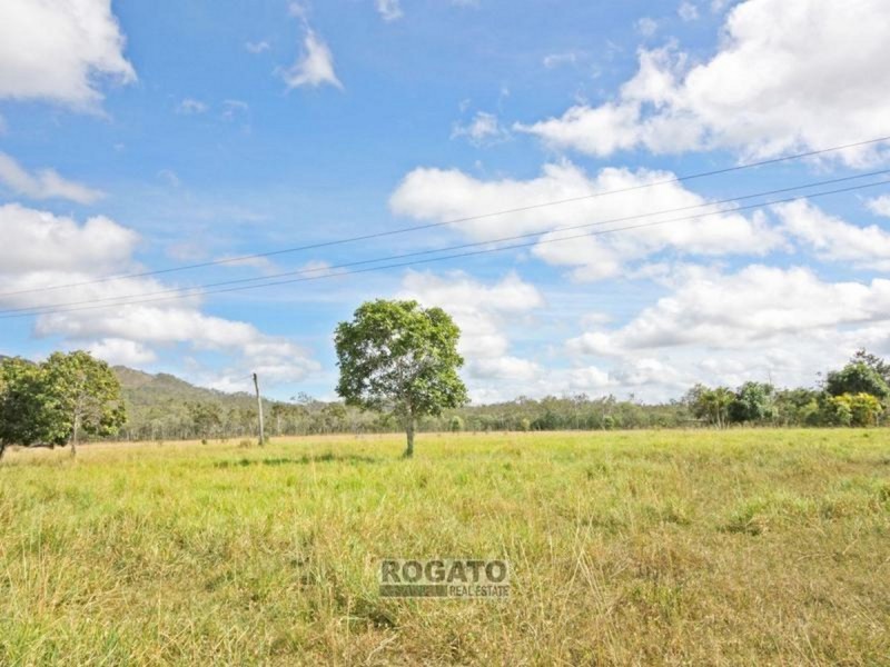 603 Hodzic Road, Mareeba QLD 4880
