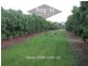 Mareeba QLD 4880